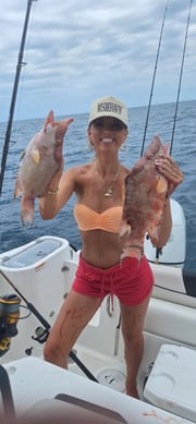 Fishing in Sarasota, Florida