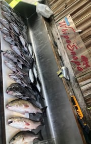 Fishing in D'Iberville, Mississippi