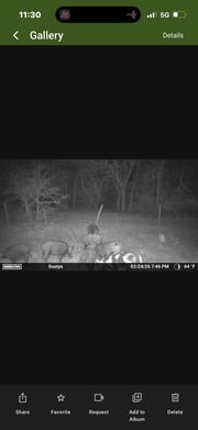 Hunting in Rising Star, Texas