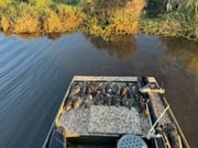 Gadwall Hunting in Delacroix, Louisiana