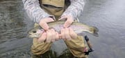 Fishing in Broken Bow, Oklahoma