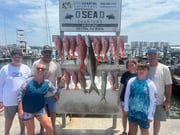 Fishing in Destin, Florida
