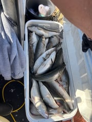 Fishing in Kingston, Oklahoma