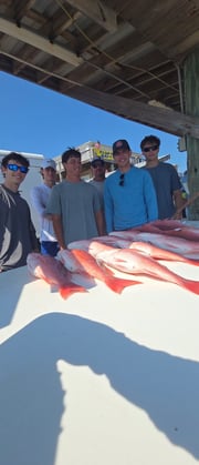 Fishing in Gulf Shores, Alabama
