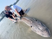 Fishing in Fraser Valley, Canada