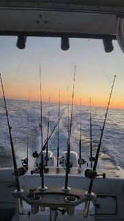 Fishing in Morehead City, North Carolina