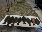 Fishing in St. Augustine, Florida