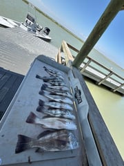 Fishing in Port Aransas, Texas
