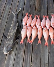 Fishing in Wilmington, North Carolina