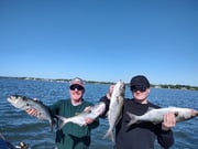 Fishing in Mastic, New York