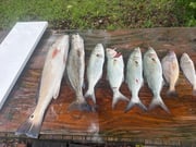 Fishing in Morehead City, North Carolina