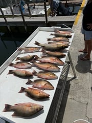 Fishing in Big Pine Key, Florida