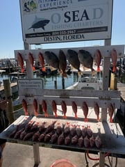Fishing in Destin, Florida