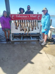 Fishing in Port Aransas, Texas