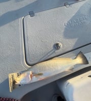 Fishing in Port Aransas, Texas