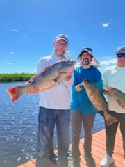 Fishing in Palmetto, Florida