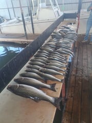 Fishing in Kingston, Oklahoma