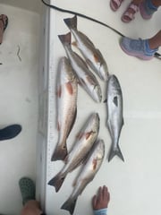 Fishing in Morehead City, North Carolina