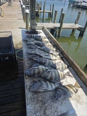 Fishing in Dauphin Island, Alabama