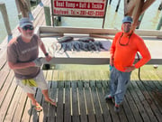 Black Drum, Speckled Trout Fishing in Houston, Texas