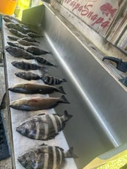 Fishing in D'Iberville, Mississippi