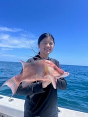 Fishing in Clearwater, Florida