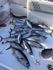 Fishing in Gurabo, Puerto Rico