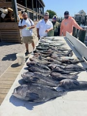 Fishing in Morehead City, North Carolina
