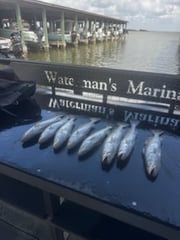 Fishing in Galveston, Texas