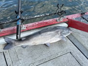 Fishing in Warsaw, Missouri