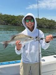 Fishing in Islamorada, Florida