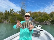 Fishing in Saint James City, Florida