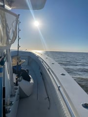 King Mackerel / Kingfish fishing in Venice, Louisiana