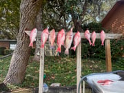 Fishing in Fort Walton Beach, Florida