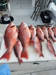 Fishing in Gulf Shores, Alabama