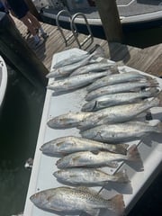 Fishing in Marco Island, Florida