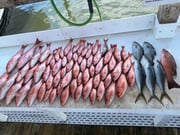 Fishing in Orange Beach, Alabama