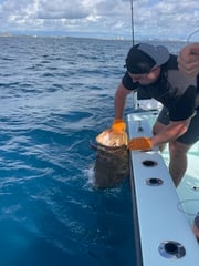 Fishing in Fort Lauderdale, Florida