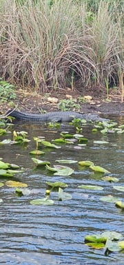 Fishing in Delray Beach, Florida