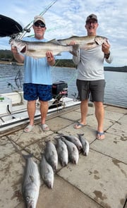 Fishing in Rogers, Arkansas
