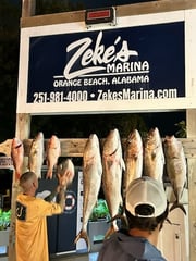 Fishing in Orange Beach, Alabama