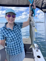 Fishing in Sarasota, Florida