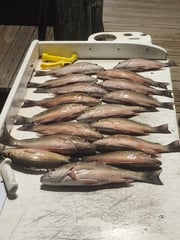 Fishing in Fort Myers Beach, Florida
