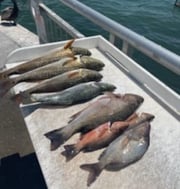 Fishing in Clearwater, Florida