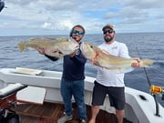 Fishing in Miami Beach, Florida