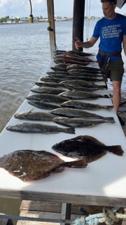 Fishing in Barataria, Louisiana