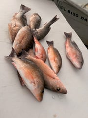 Fishing in Miami, Florida