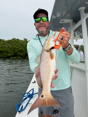 Fishing in Holmes Beach, Florida