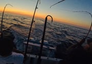Fishing in Key West, Florida