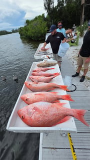 Fishing in Clearwater, Florida